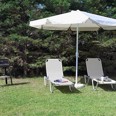 Irene * Spanokhórion